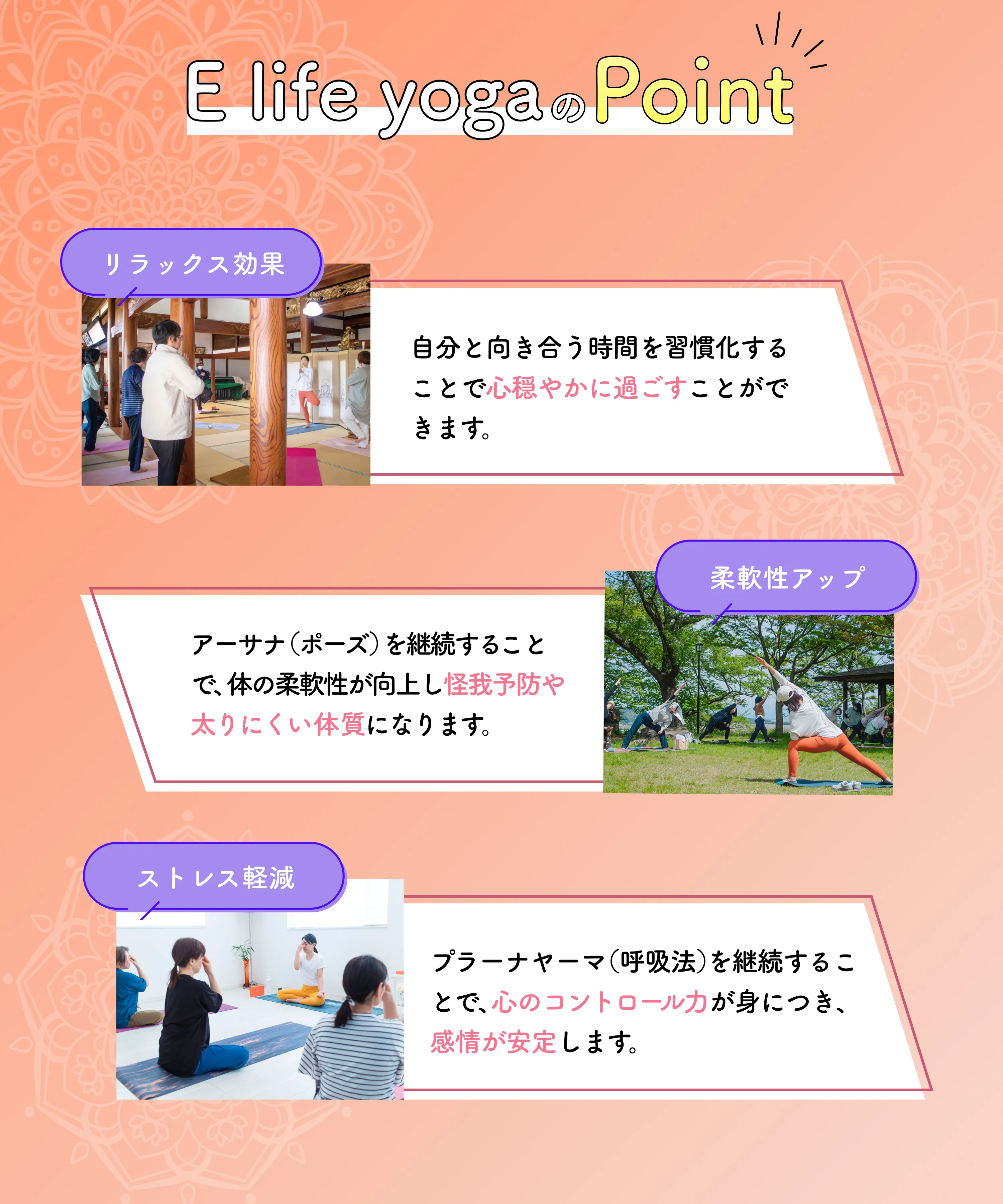 E life yogaのPoint